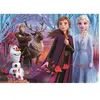 Puzzle 104 pièces Clementoni Supercolor Disney Frozen 2