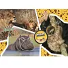 Puzzle National Geographic Kids - Clementoni - Sauvage - 104 pièces