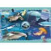 Clementoni SuperColor National Geographic Kids - Ocean Exporer - puzzle - 104 pièces