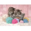 Puzzle - CLEMENTONI - Chatons et pelotes - 104 pièces - Rose - Animaux