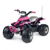 Quad Corral T-rex 330w 12v Rose