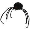 Trudi - 10915 - farce et attrape - veuve noire - idurt - 19,5 cm