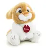 Peluche - TRUDI - Lapin Oliviero - 22 cm - Bébé - Naissance