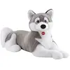 Peluche - TRUDI - Husky Marcus junior - 100 cm - Gris/Blanc