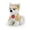 Trudi peluche chien Akita Ascanio