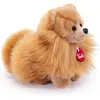 Peluche chien poméranien 22 cm