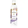 Pantene Pro-V Perfect Volume laque cheveux extra fort 250 ml