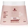 Alama Professional Color Masque de maintien Couleur pour cheveux color...