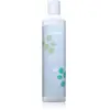 Echosline Balance Shampoo per Cute e Capelli Grassi, 300 ml