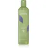 Echosline No Yellow shampoing anti-jaunissement 300 ml