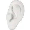 SELETTI Memorabilia Museum Oreille Blanc