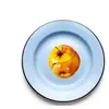 Seletti APPLE