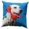 Seletti DOG CALL CENTER