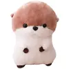 Non communiqué Loutre en peluche 30cm pour enfants - Marron