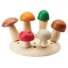 Cueillette des Champignons - De la ferme à la Table PT2607