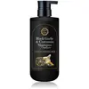 DAENG GI MEO RI Black Garlic & Curcumin Shampoo shampoing régénérateur...