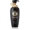 DAENG GI MEO RI Oriental Special Shampoo shampoing nourrissant anti-ch...