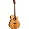 Gold A10 Cocobolo Naturel Brillant