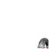 Shinko SR 777 Front 160 70 17 H 79 