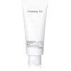Pyunkang Yul Cleansing Foam