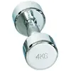 Gymstick Haltère Pro Chrome 4kg Unit