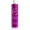 Lumene Nordic Volume [ILMA] Volumizing & Lifting shampoing volumisant ...