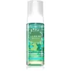 Lumene Deeply Purifying [PUHDAS] mousse démaquillante purifiante pour peaux grasses et mixtes 150 ml