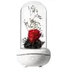 EFUTURE LED Lampe Fleur Rose éternelle USB Charge Lampe à parfum Veill...