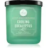 DW Home Signature Cooling Eucalyptus bougie parfumée 269 g