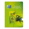 OXFORD Lot de 10 Cahiers travaux pratiques ESSENTIAL piqûre, 40 pages Seyès + 40 pages unies, Format 24 x 32 cm. Couverture carte