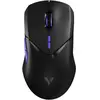 RAPOO VT9Pro 4K Souris gaming sans fil - Noir