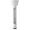 Intex - 29039 thermomètre pour piscines