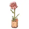 Robotime Maquette Pink Rose  - Rowood Maquette en bois  - RT-TW041 