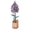 Wooden Bloom Craft: Le lila Robotime