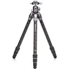 Benro TTOR14CGX25 trépied Caméras numériques 3 pieds Noir