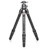 BENRO Kit Tortoise 35C - Trépied en Carbone sans Colonne avec rotule GX35