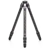 Benro Tortoise 24CLV