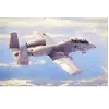 N/aw A-10a Thunderbolt Ii - 1:48e - Hobby Boss