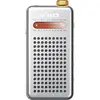Radios portables FiiO RR13 Silver