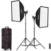 Godox Kit 2 Torches LED SL100D