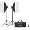 Kit 2 Studio Flash Godox MS300V-F Noir et blanc