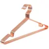 SONGMICS Cintre métallique antirouille, Rosé