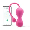 Magic Motion - Boules de geisha connectées Smart Kegel Master roses