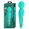 Pretty Love Walter Vibromasseur Wand Vert Eau 1ut