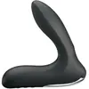 Plug anal vibrant Leonard 