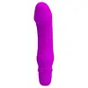 Mini-Vibrateur Justin