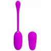 Pretty Love Shock Fun Vibrating Egg et Electroshock 1 pièce