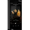 Baladeurs audiophiles Hiby RS8 II Noir