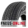 Royal Black Winter HP 205/55 R16 91H