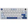MOD 007 V5 HE Magnetic Keyboard